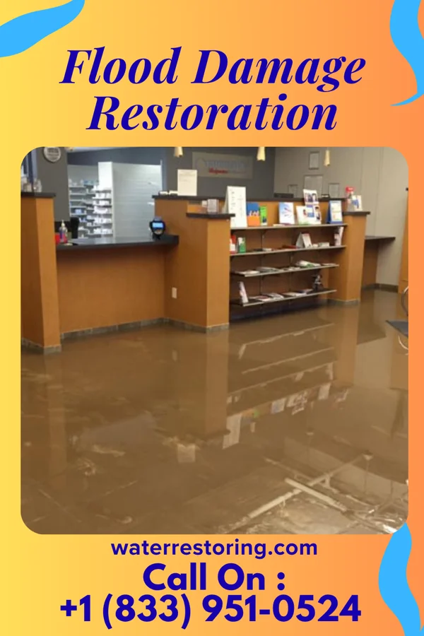 Flood Damage Restoration in Willard, MO