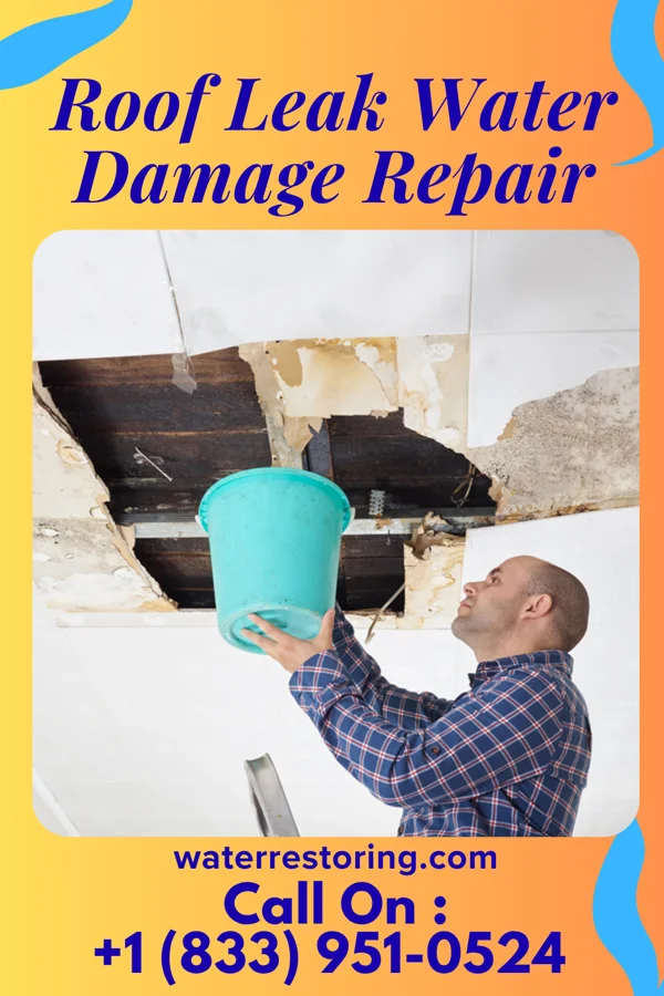 Roof Leak Water Damage Repair in Willard, MO