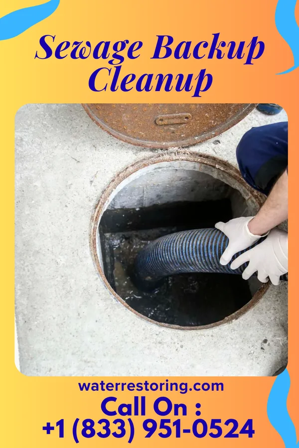 Sewage Backup Cleanup in Willard, MO